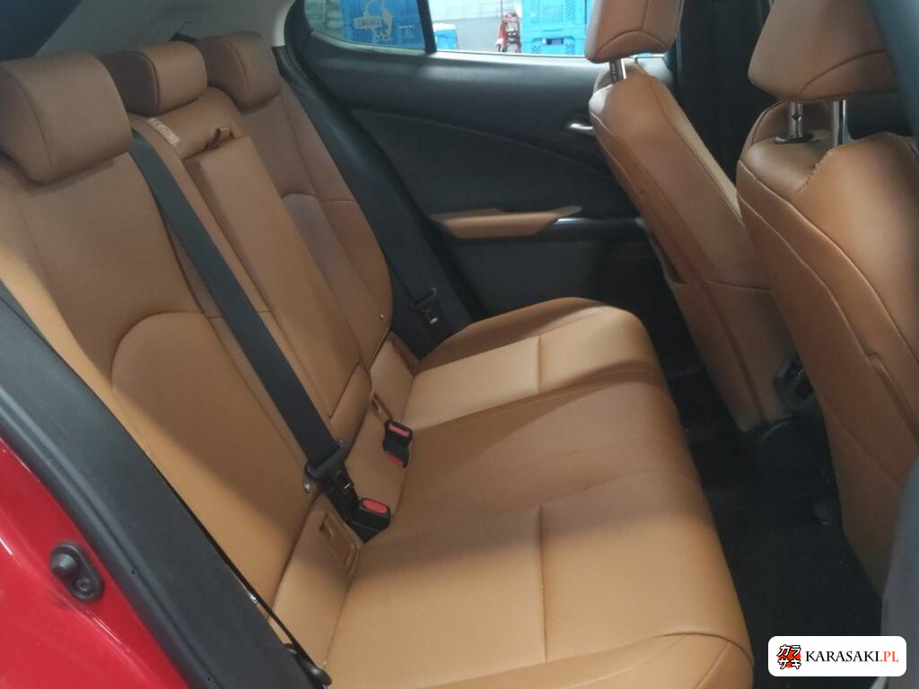 2019 Lexus Ux 4WD UX250H Version C 6