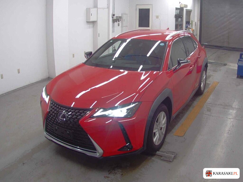2019 Lexus Ux 4WD UX250H Version C 3