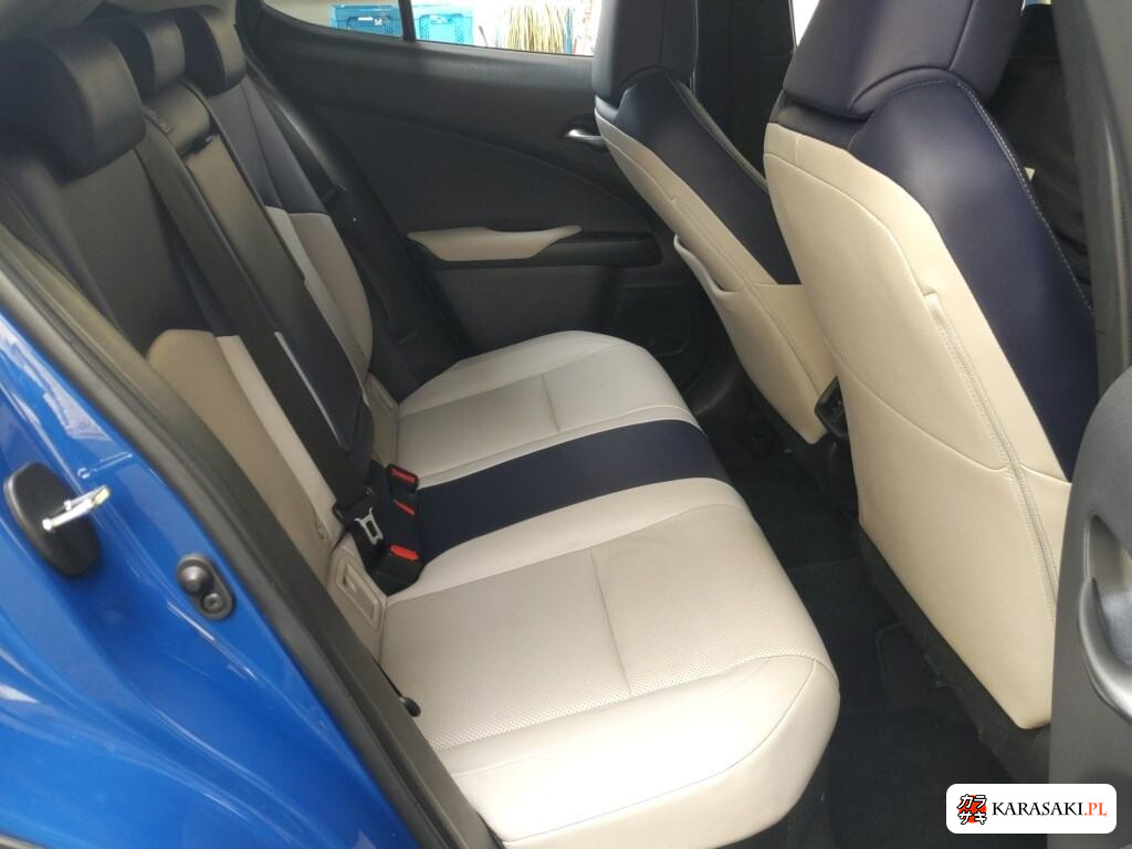 2018 Lexus Ux UX250H Version L 6