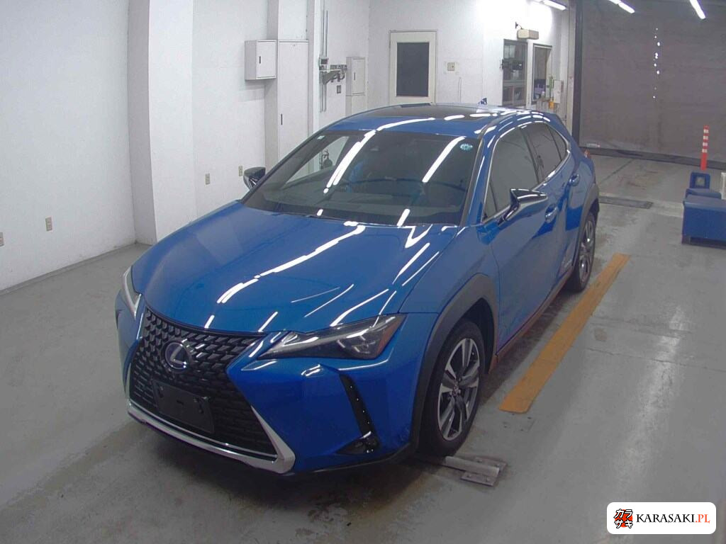 2018 Lexus Ux UX250H Version L 3
