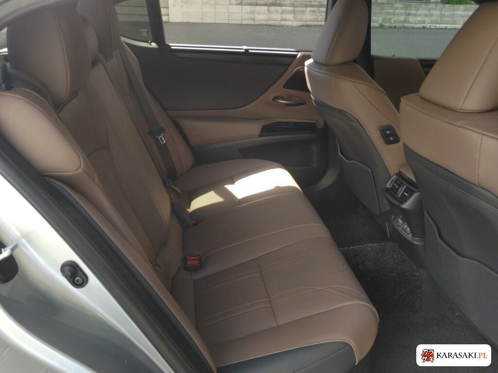 2021 Lexus Es ES300H Version L 6