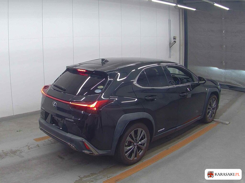 2020 Lexus Ux UX250H F Sport 4