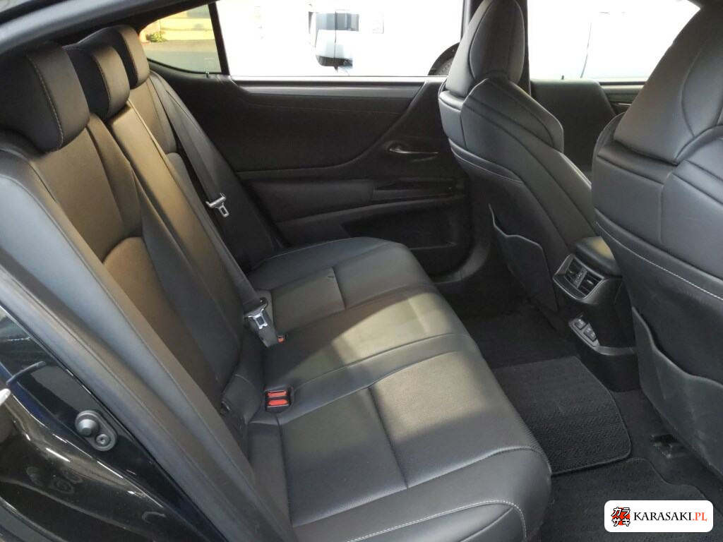 2020 Lexus Es ES300H F Sport 6