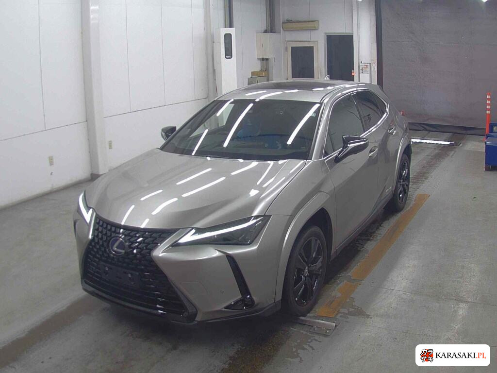 2021 Lexus Ux UX250H Elegant Black 3