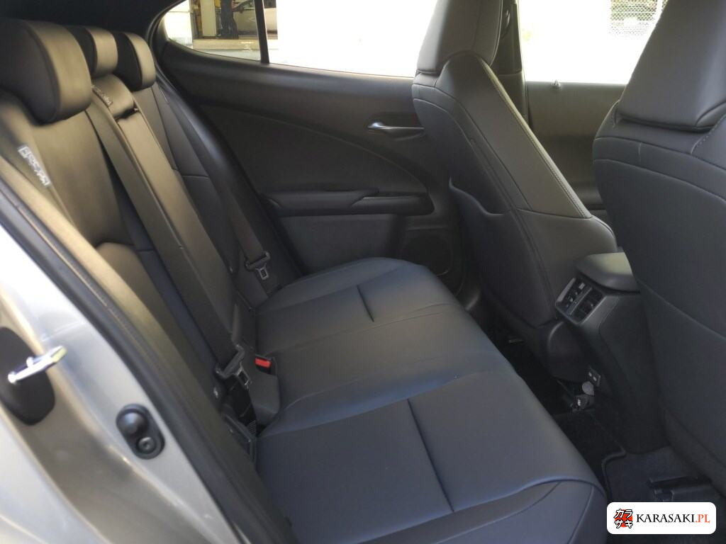 2021 Lexus Ux UX250H Elegant Black 6