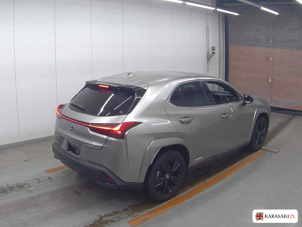 2021 Lexus Ux UX250H Elegant Black 4