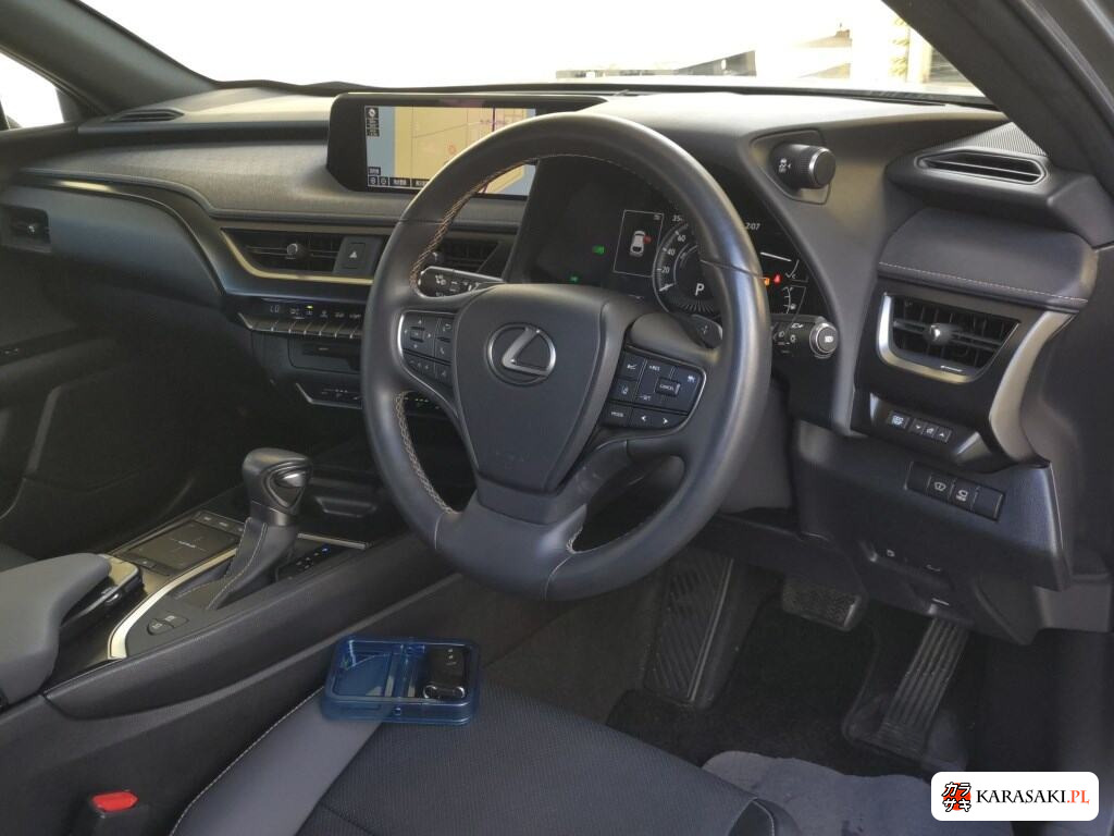 2021 Lexus Ux UX250H Elegant Black 5