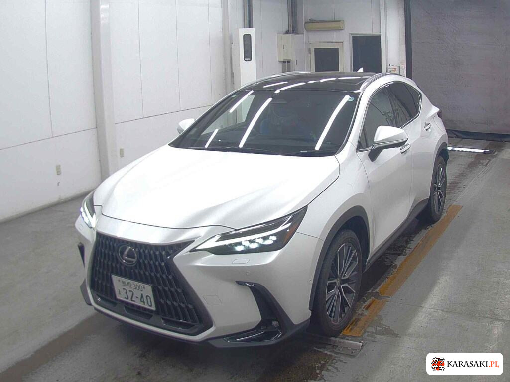 Lexus NX 2023 z aukcji japońskiej