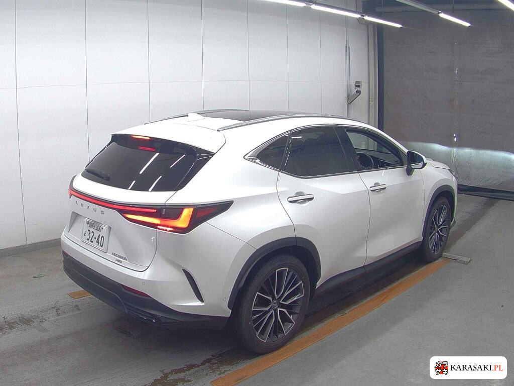 Lexus NX 2023 z aukcji japońskiej