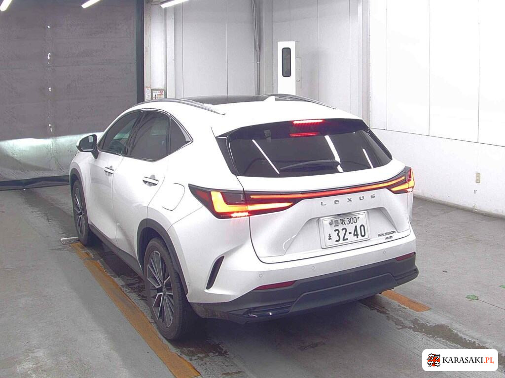 Lexus NX 2023 z aukcji japońskiej