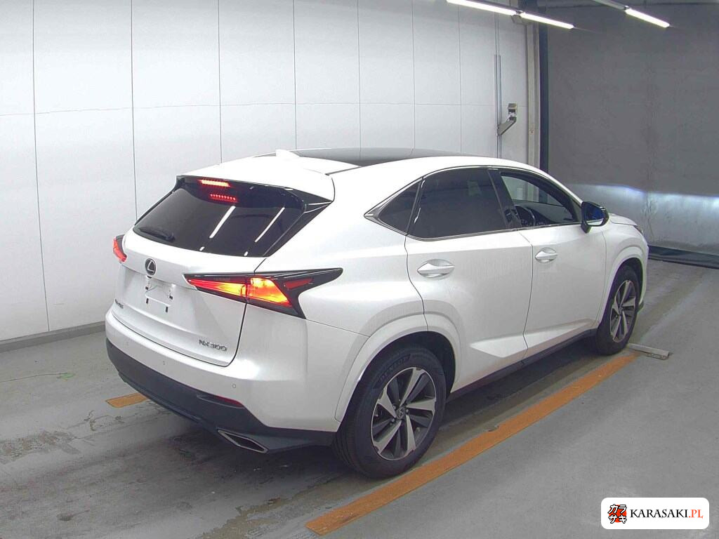 Lexus NX 2020 z aukcji japońskiej