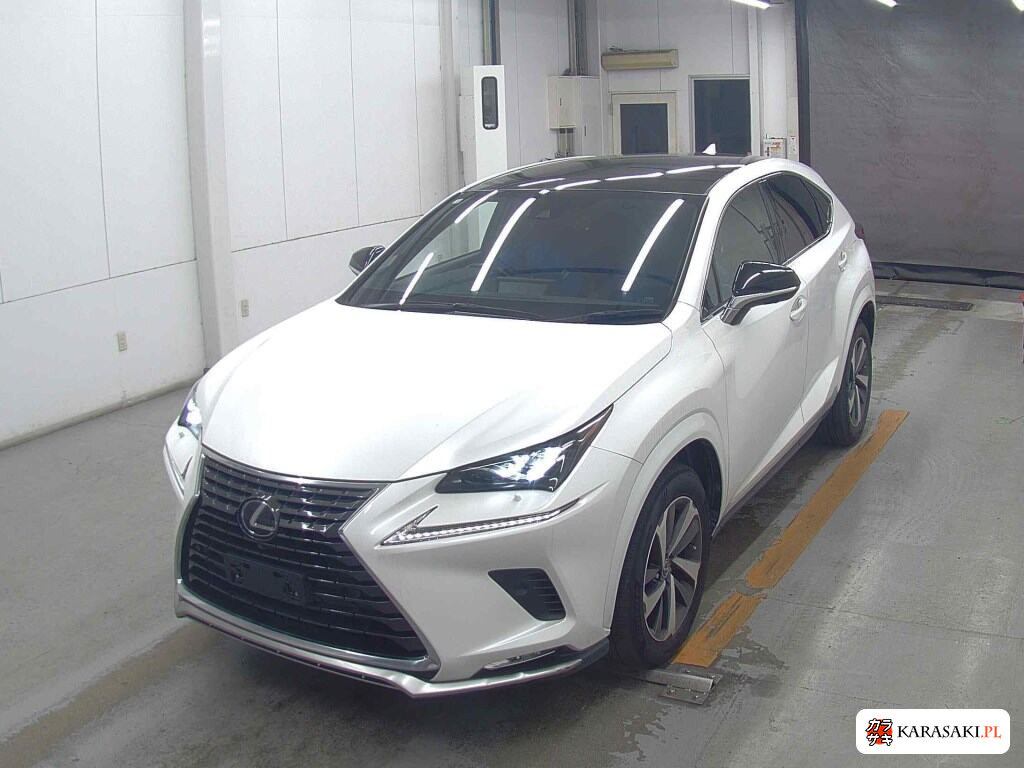 Lexus NX 2020 z aukcji japońskiej