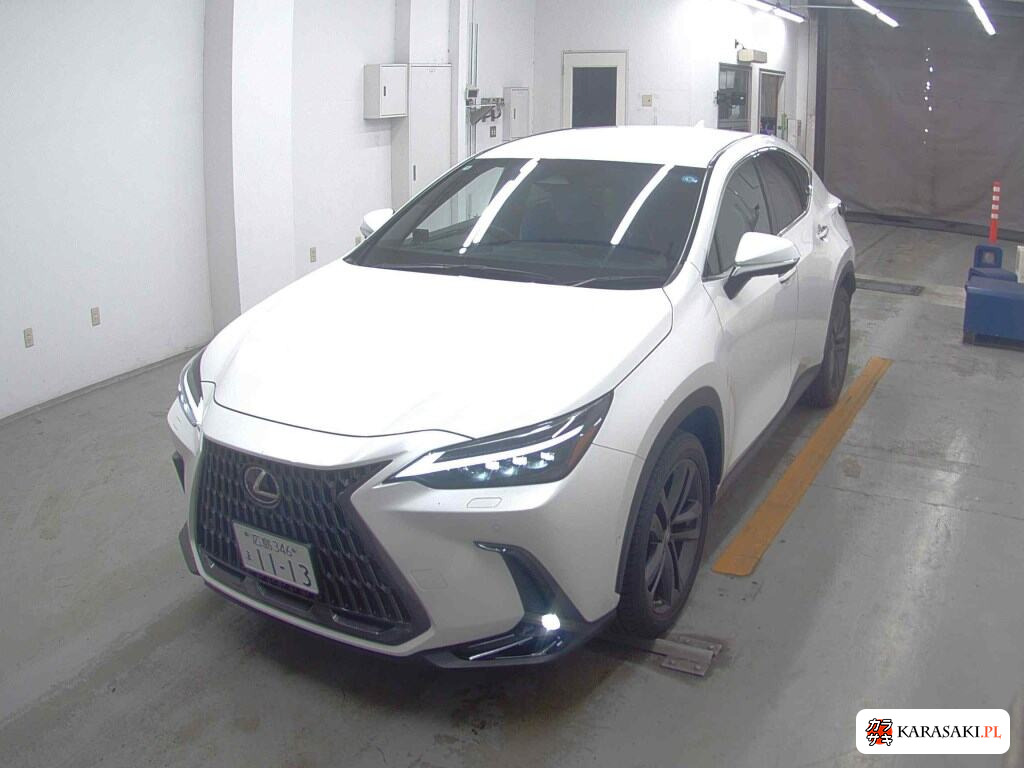 Lexus NX 2022 z aukcji japońskiej
