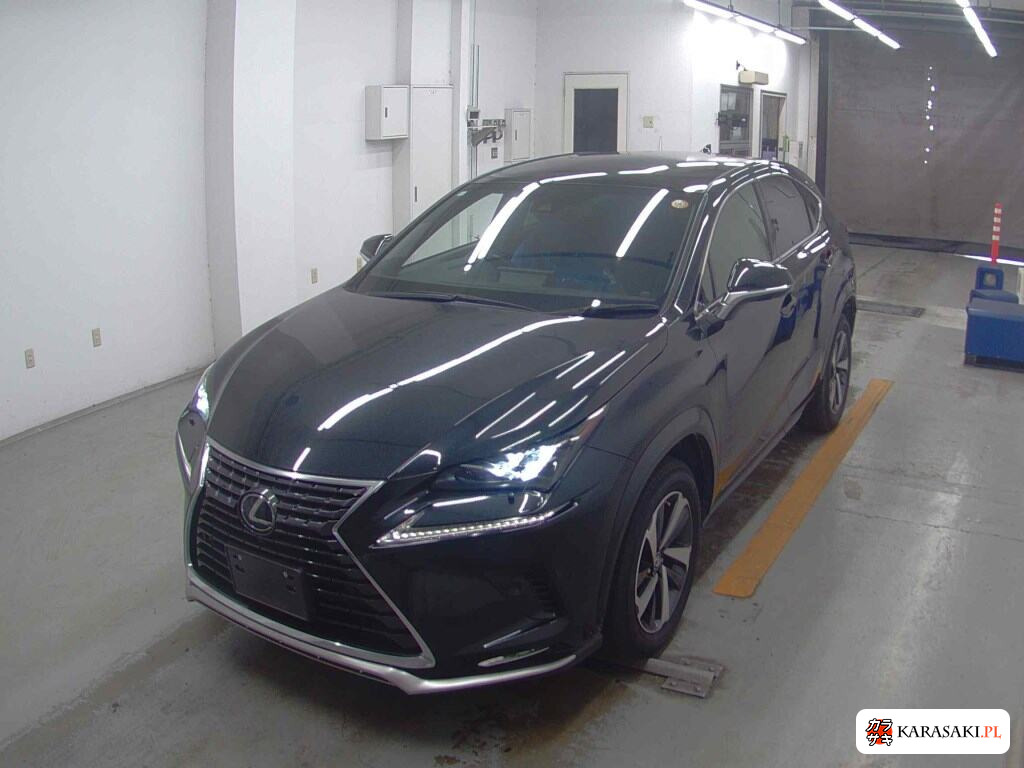 Lexus NX 2020 z aukcji japońskiej