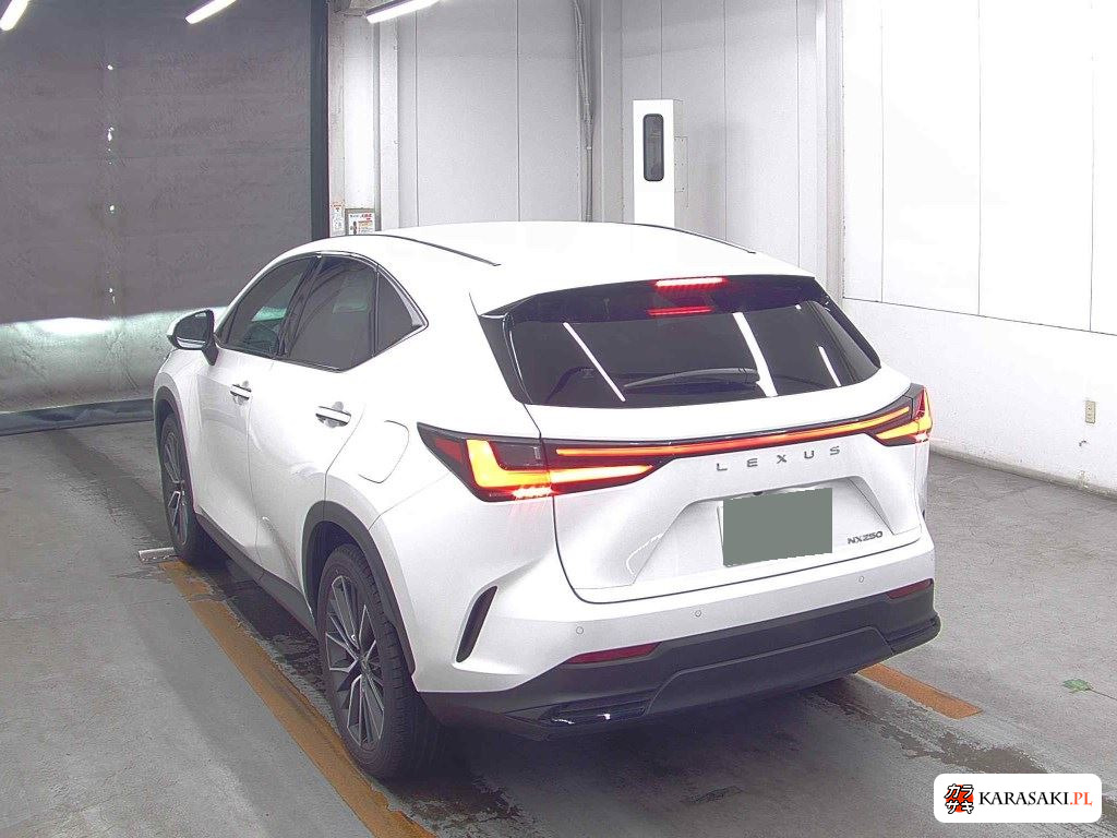 Lexus NX 2023 z aukcji japońskiej