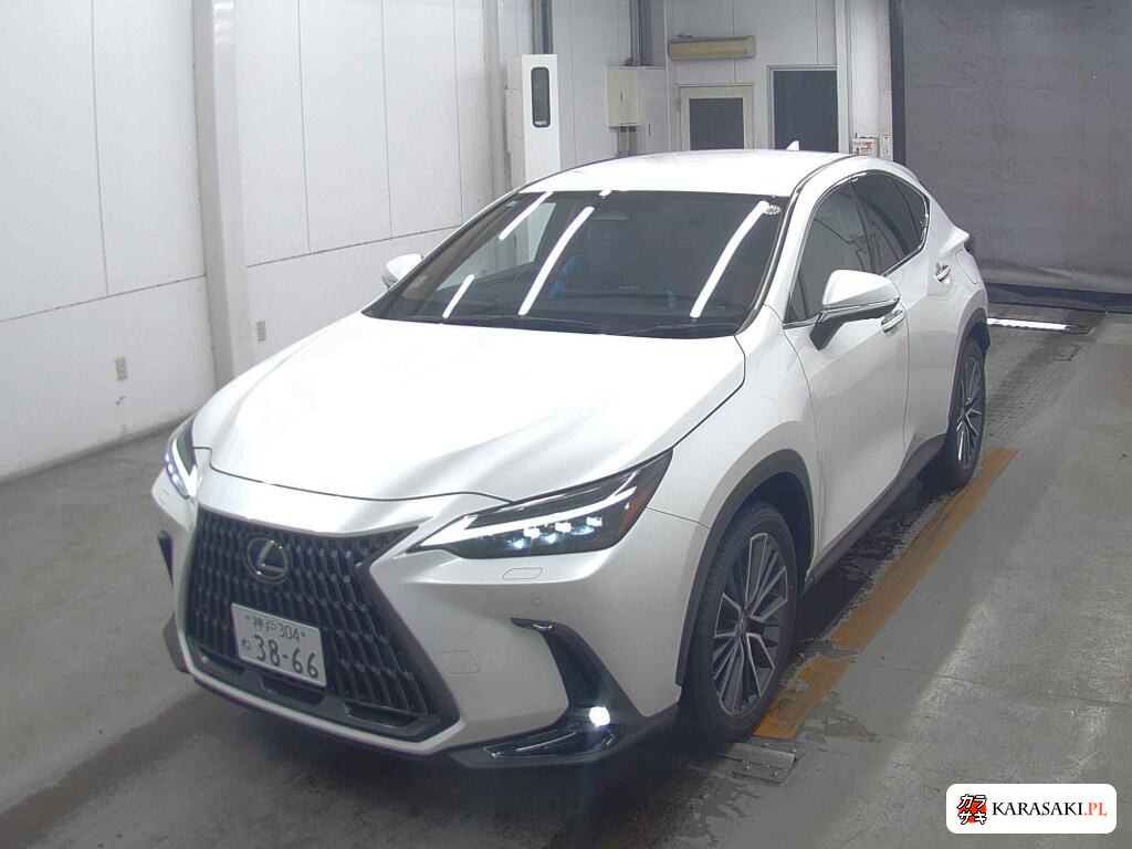 Lexus NX 2023 z aukcji japońskiej