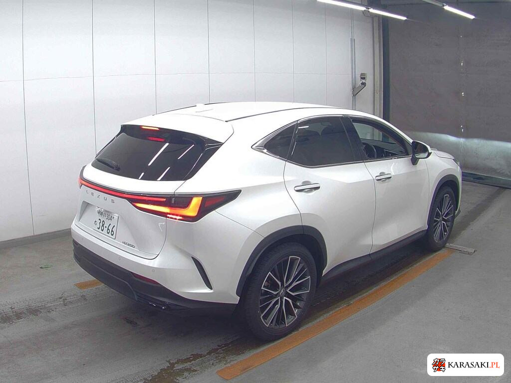 Lexus NX 2023 z aukcji japońskiej