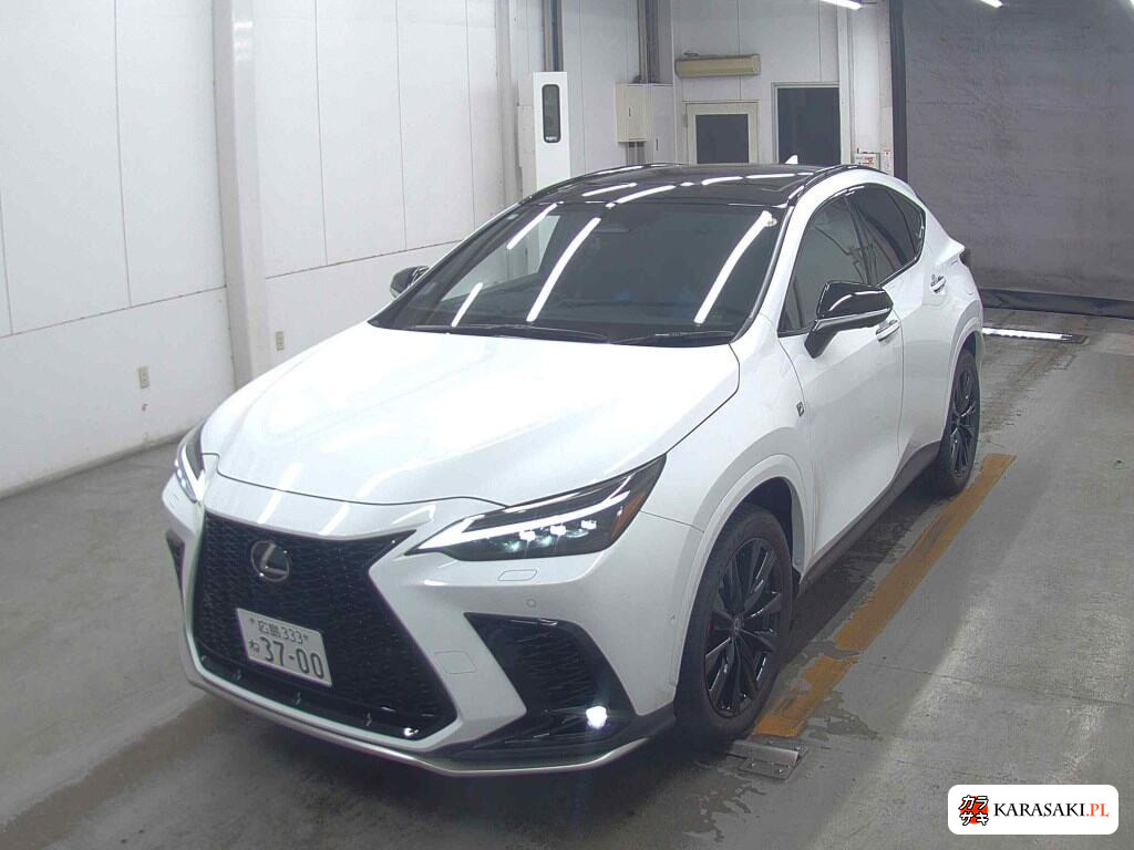 Lexus NX 2025 z aukcji japońskiej