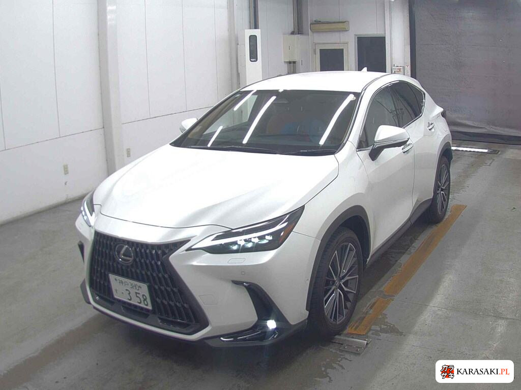 Lexus NX 2023 z aukcji japońskiej