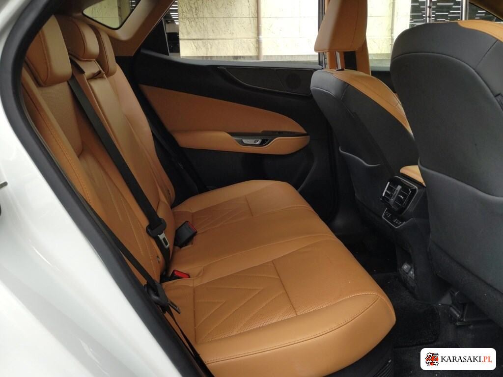 Lexus NX 2023 z aukcji japońskiej