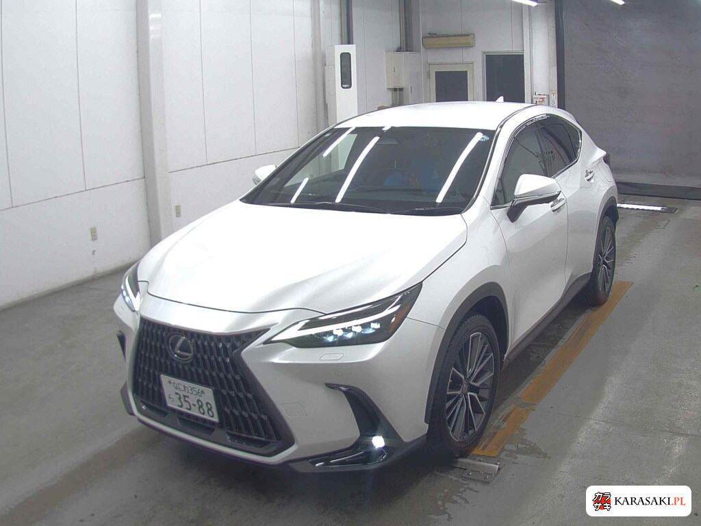 Lexus NX 2023 z aukcji japońskiej