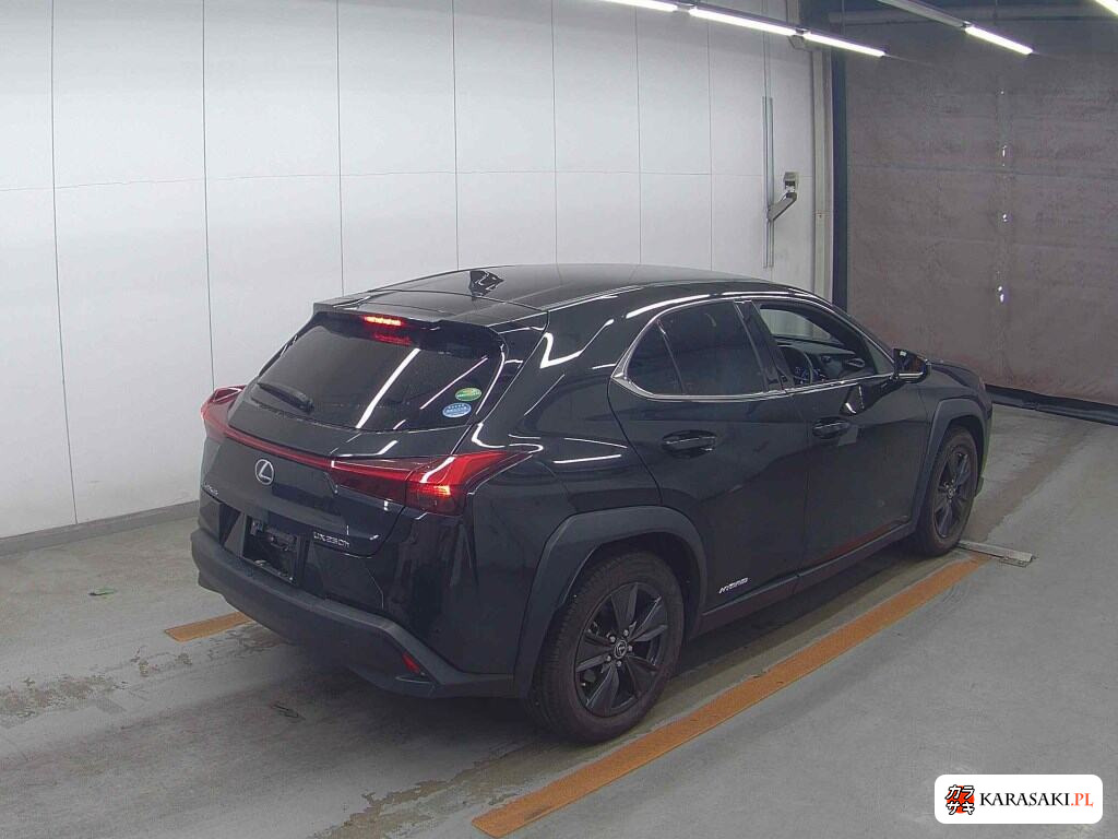 Lexus Ux 2020 z aukcji japońskiej