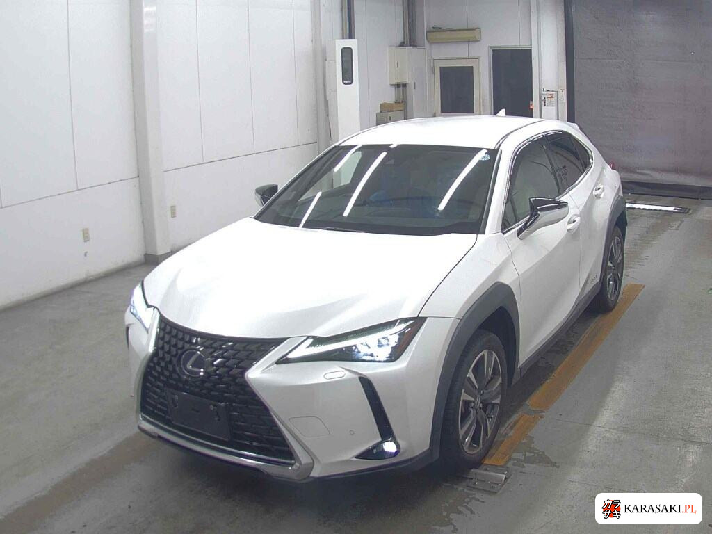 Lexus Ux 2021 z aukcji japońskiej