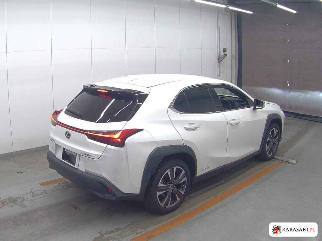 Lexus Ux 2021 z aukcji japońskiej