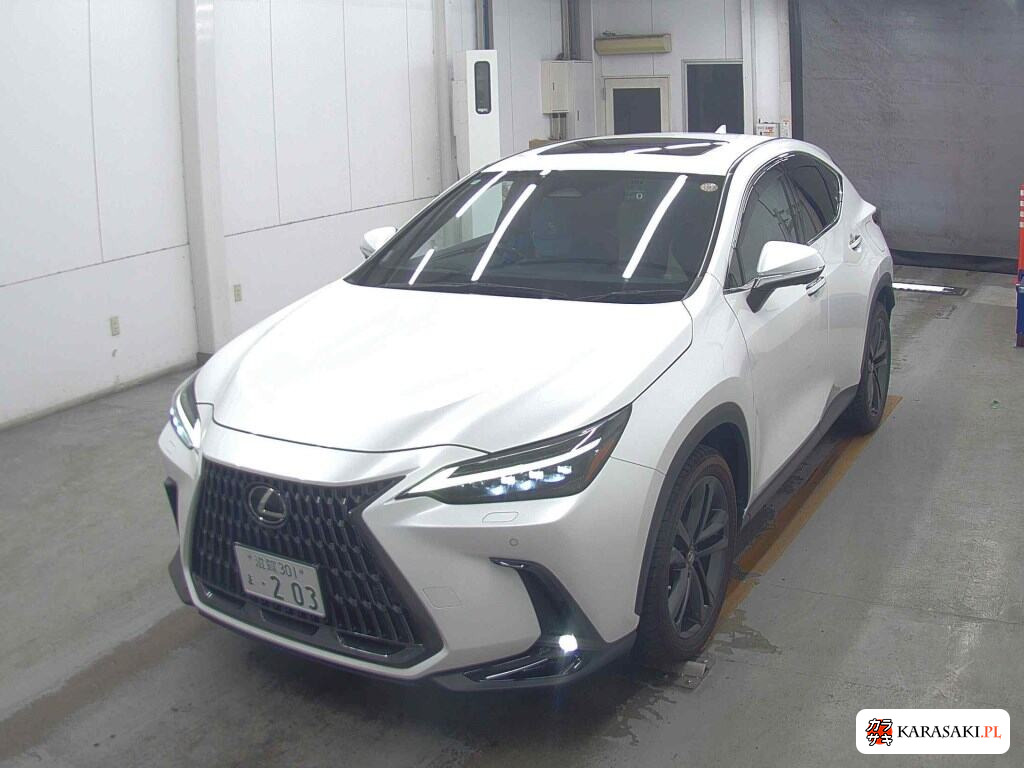 Lexus NX 2022 z aukcji japońskiej