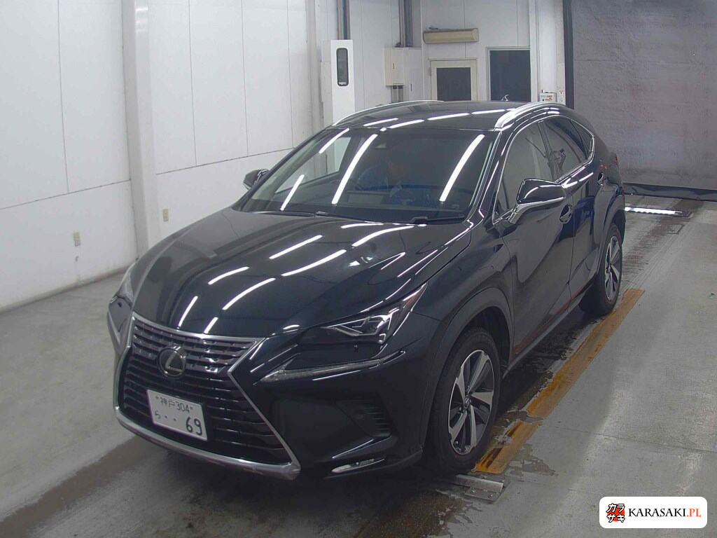 Lexus NX 2018 z aukcji japońskiej