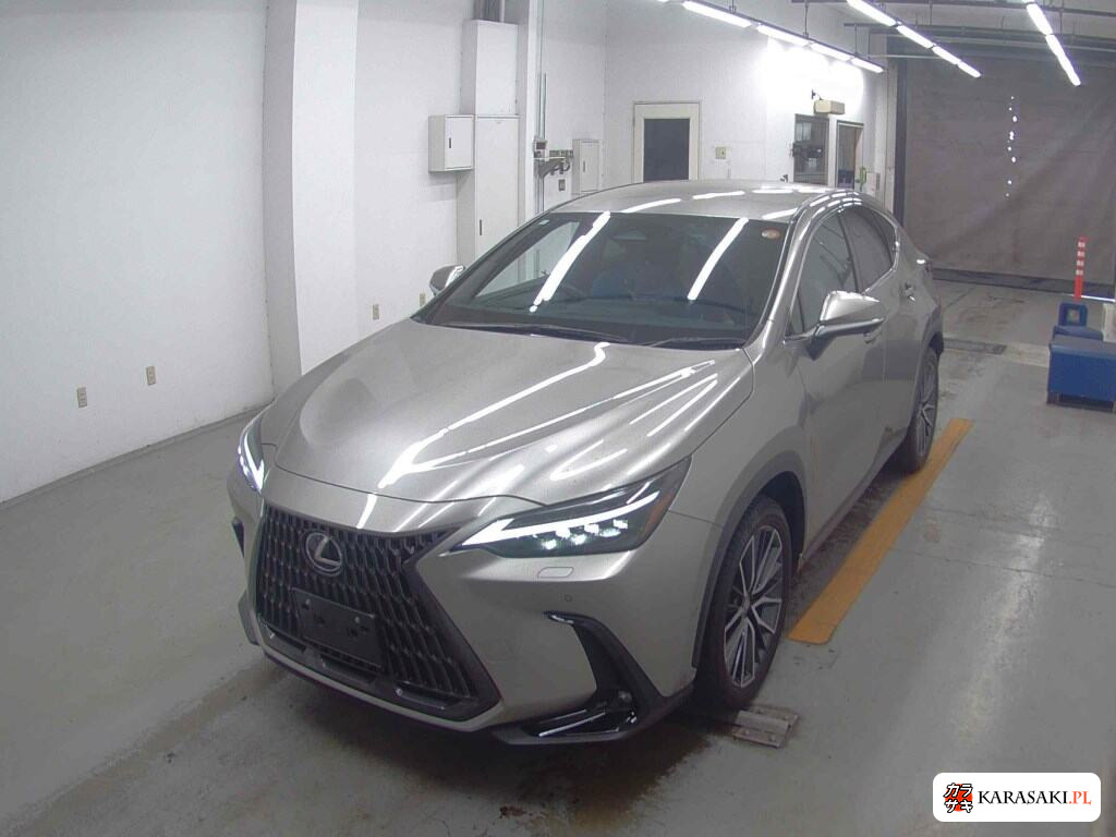 Lexus NX 2023 z aukcji japońskiej