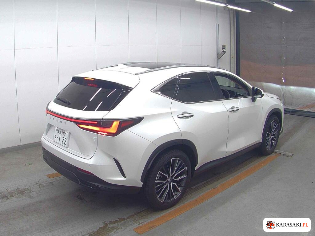 Lexus NX 2023 z aukcji japońskiej