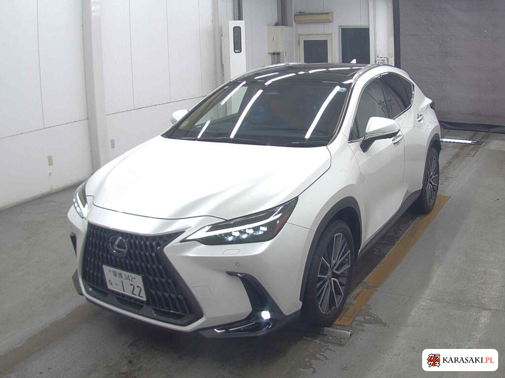 Lexus NX 2023 z aukcji japońskiej