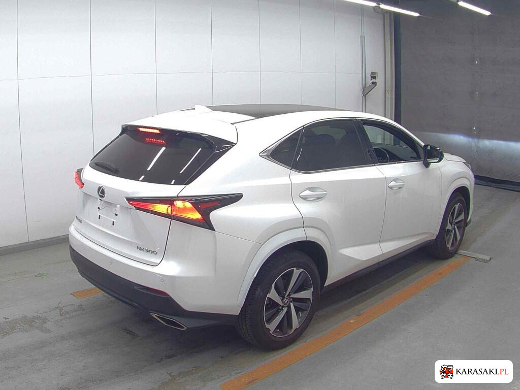 Lexus NX 2020 z aukcji japońskiej