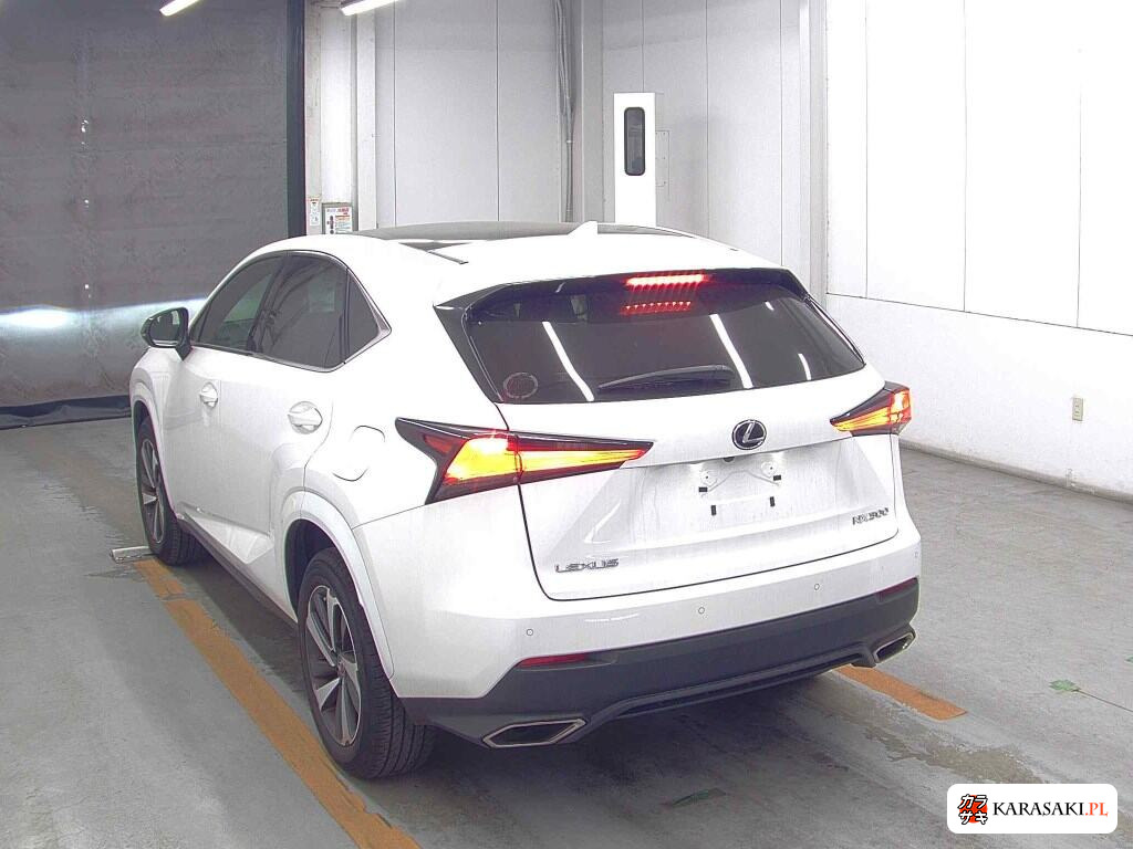 Lexus NX 2020 z aukcji japońskiej