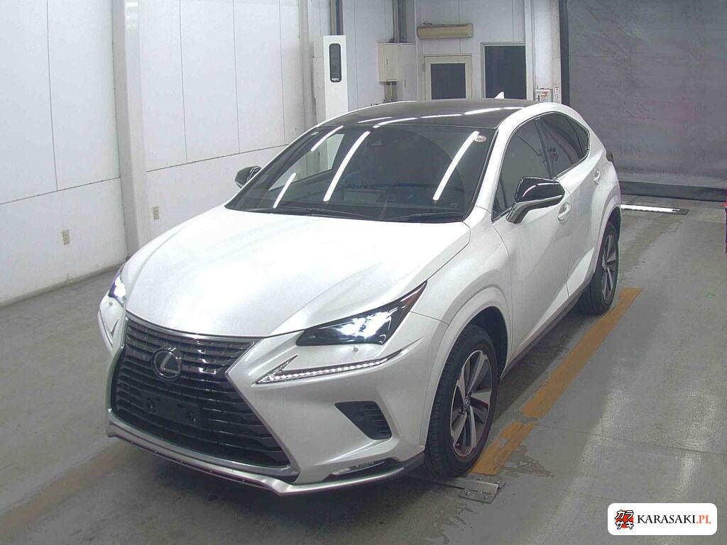Lexus NX 2020 z aukcji japońskiej
