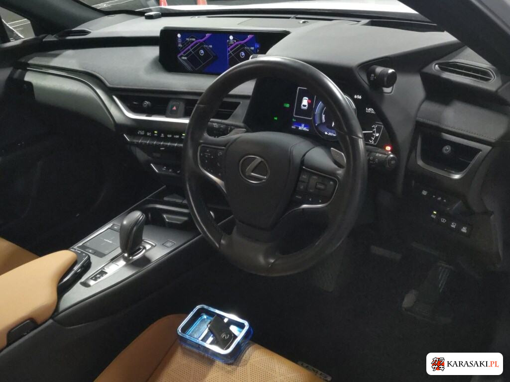 2021 Lexus UX300E Version L 5