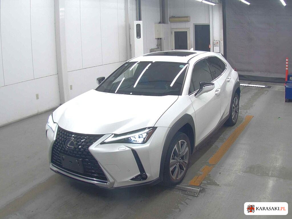 2021 Lexus UX300E Version L 3