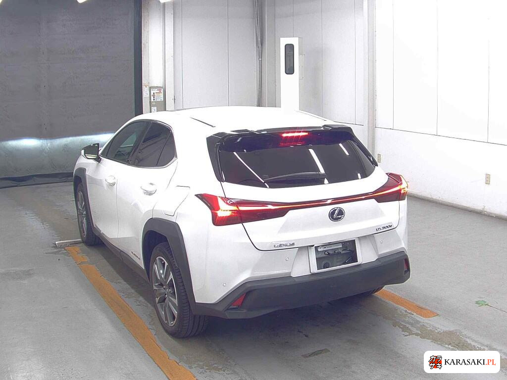 2021 Lexus UX300E Version L 2
