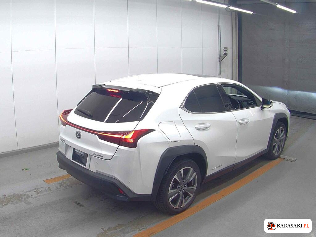 2021 Lexus UX300E Version L 4
