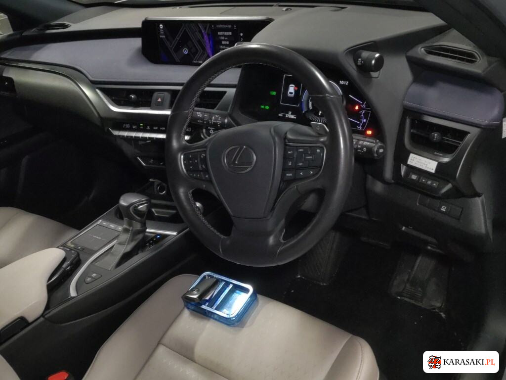 2020 Lexus Ux UX250H Version C 5