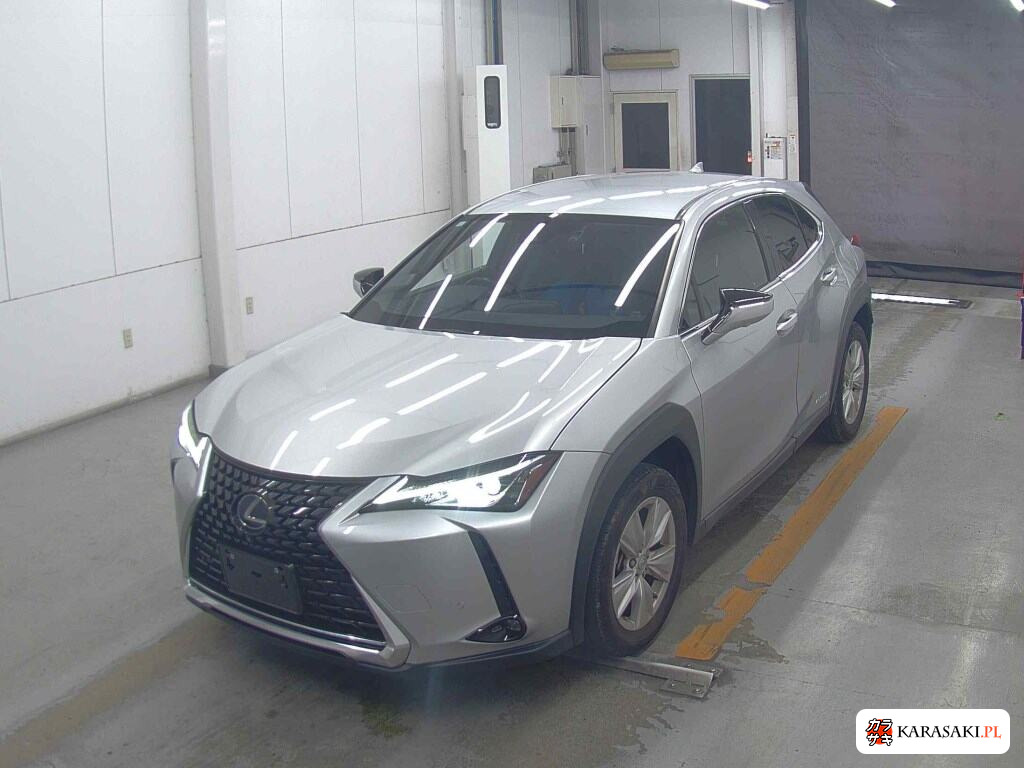 2020 Lexus Ux UX250H Version C 3