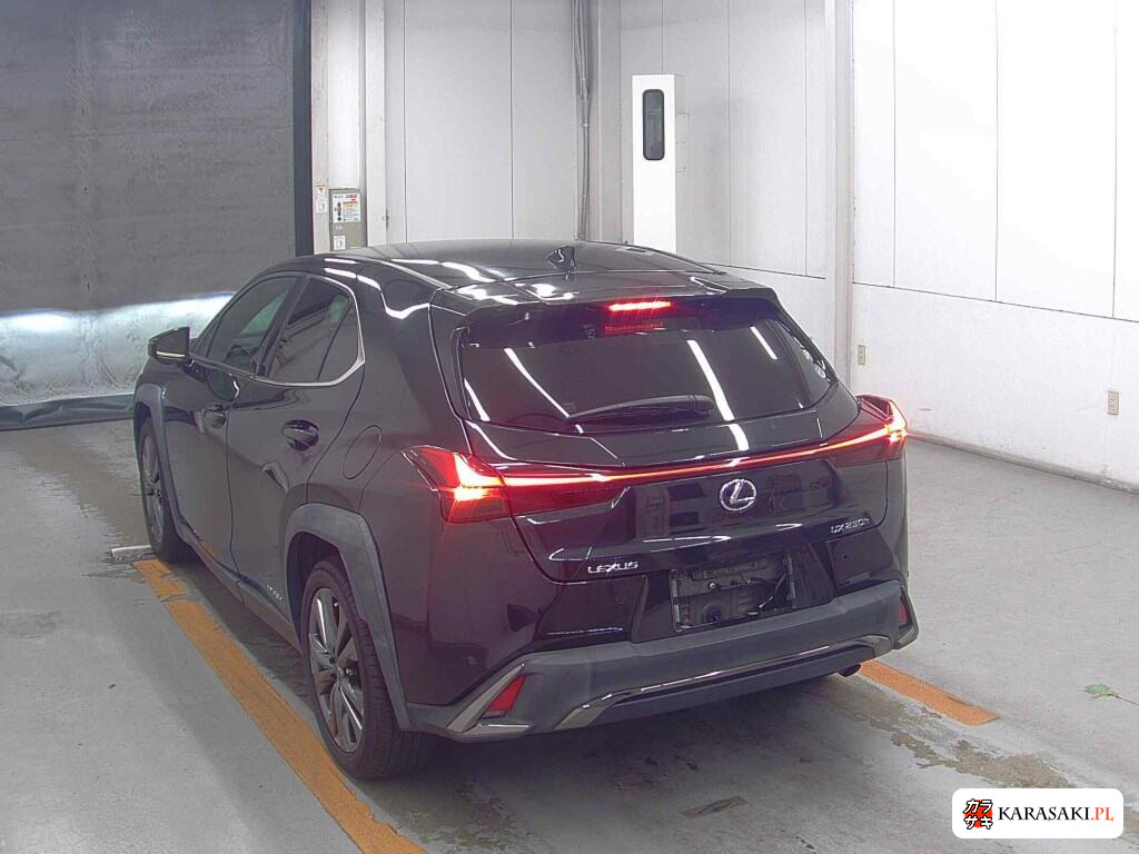 Lexus Ux 2019 z aukcji japońskiej