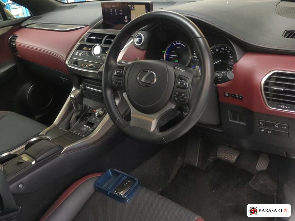 Lexus NX 2020 z aukcji japońskiej