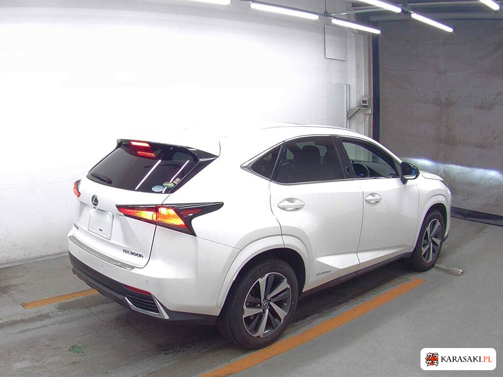 Lexus NX 2020 z aukcji japońskiej