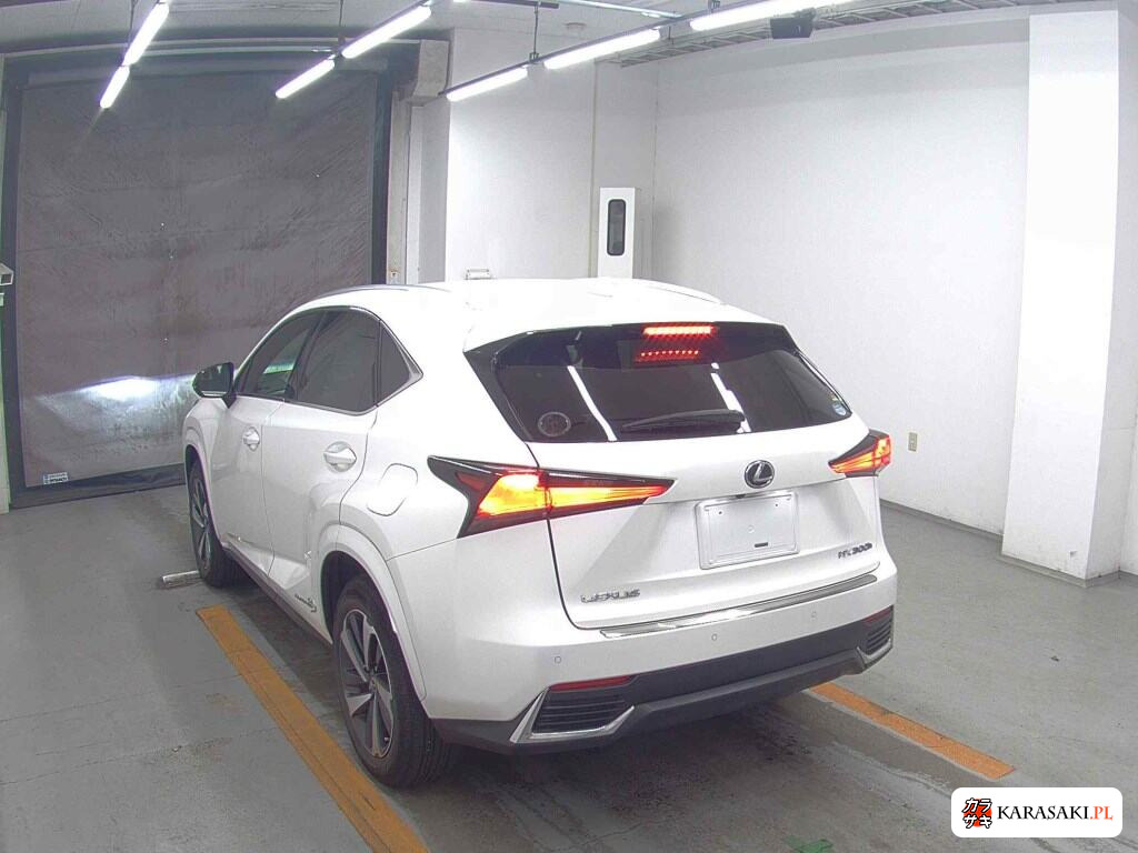 Lexus NX 2020 z aukcji japońskiej