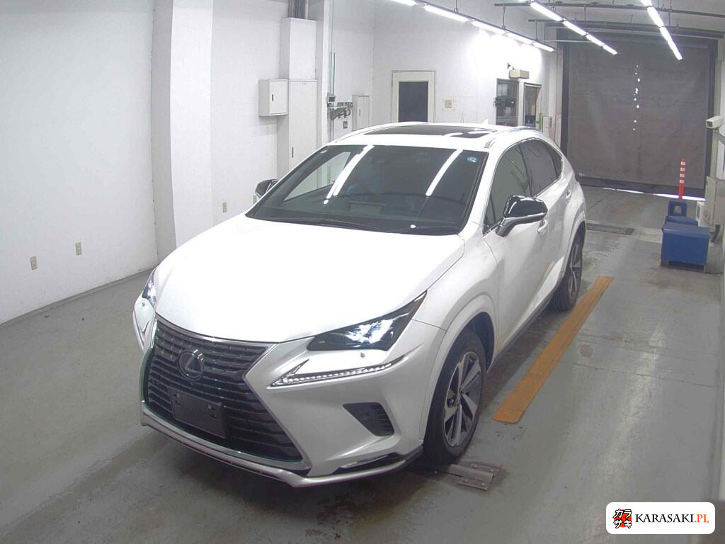 Lexus NX 2020 z aukcji japońskiej