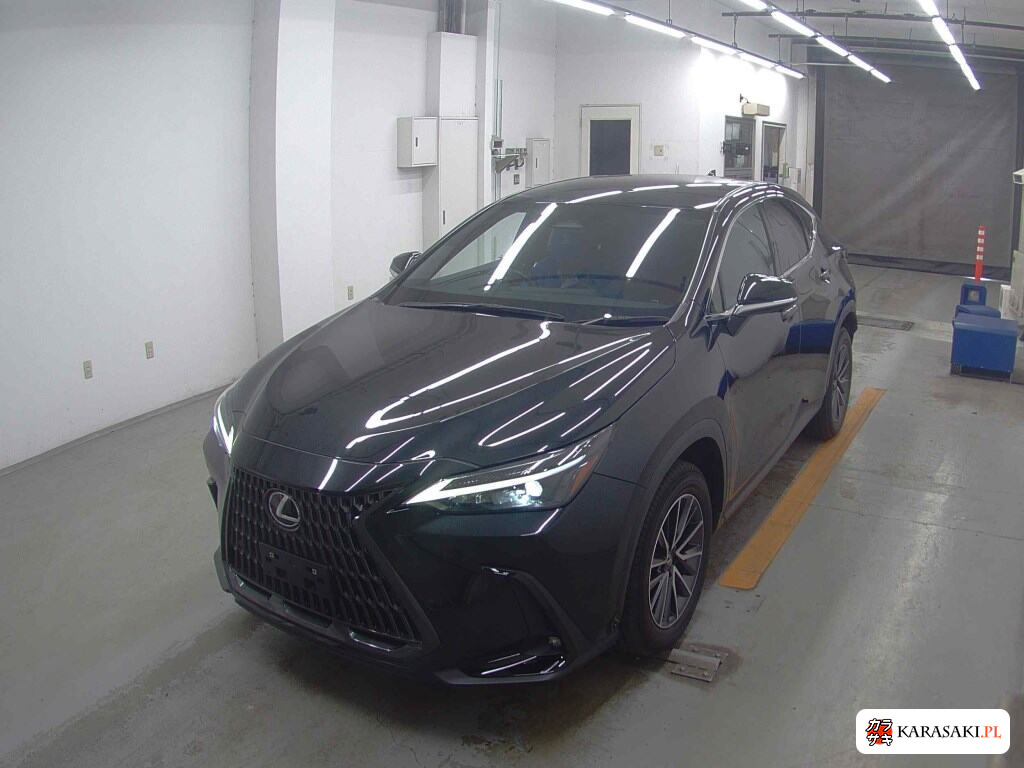 Lexus NX 2023 z aukcji japońskiej