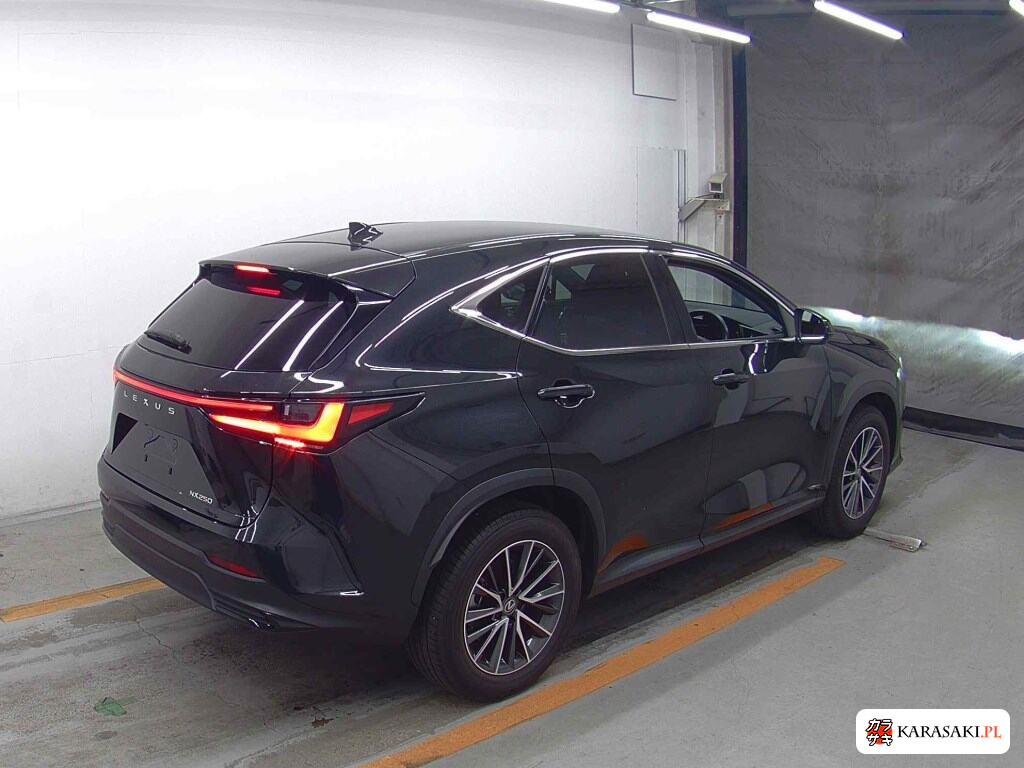 Lexus NX 2023 z aukcji japońskiej