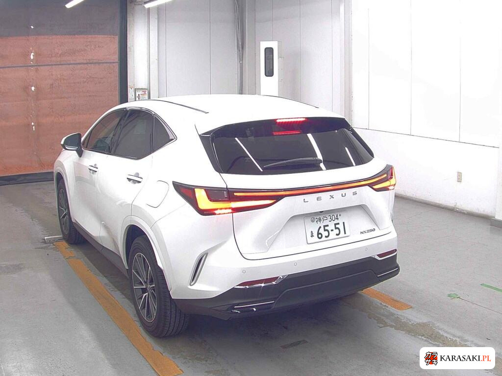 Lexus NX 2024 z aukcji japońskiej